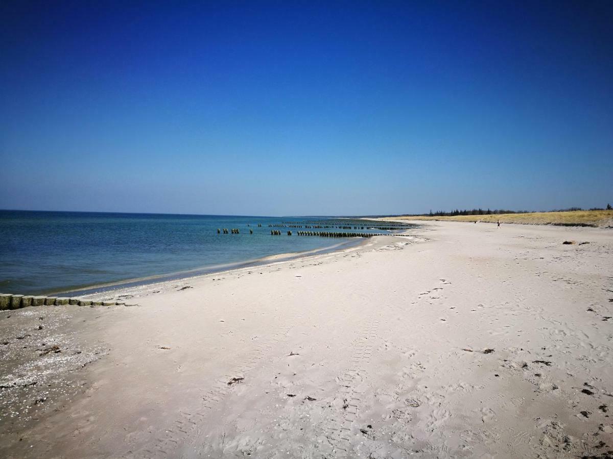 Darsser Strandgut - Haus Ahrenshooper Holz Екстериор снимка