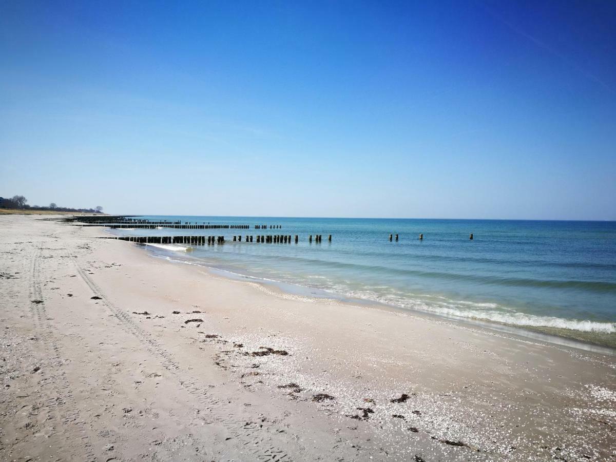 Darsser Strandgut - Haus Ahrenshooper Holz Екстериор снимка